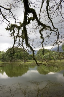 Lakeside görünümü