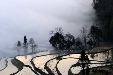 Yuanyangtitian scenery