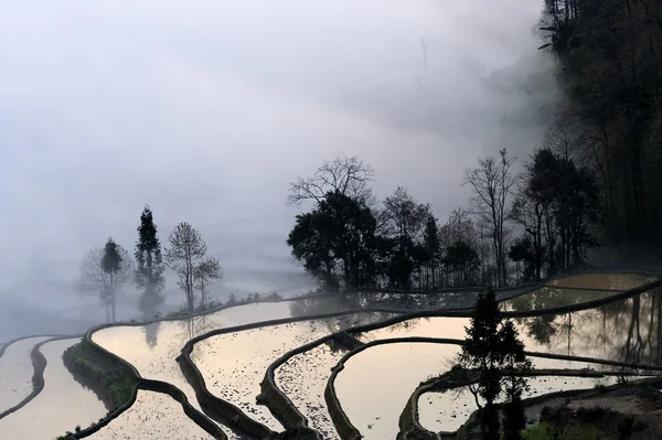 stock image Yuanyangtitian scenery