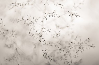 Winter bush background in sepia clipart