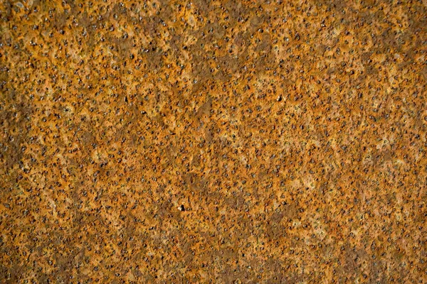 Rusten metalplade - Stock-foto
