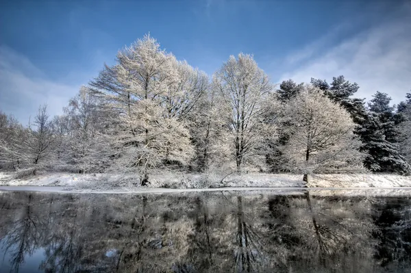 Lake scene in winter — Stockfoto