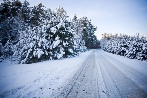 Scène de route forestière en hiver — Photo