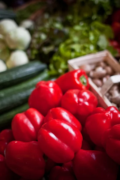 stock image Fresh vegetables at the market