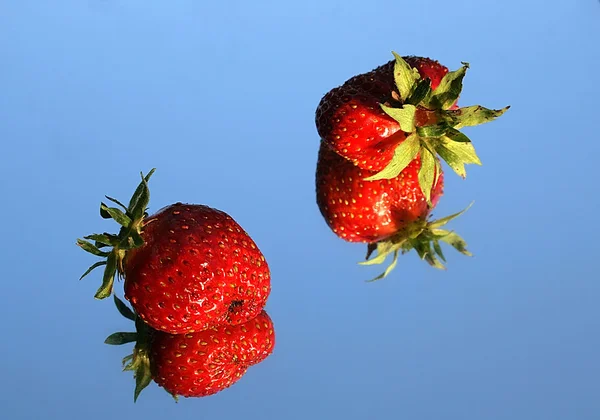 Erdbeere auf einem Spiegel — Stockfoto
