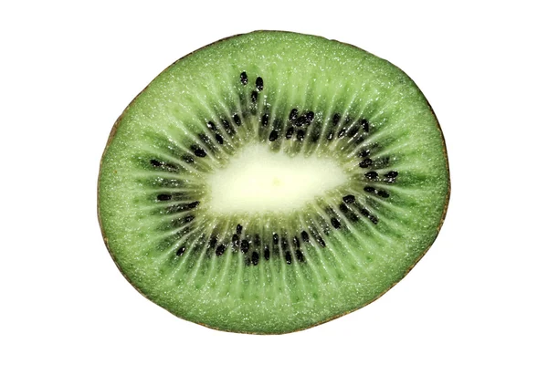 Kiwi su sfondo bianco — Foto Stock