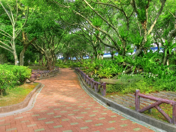 Trees and walkway — Stock Photo, Image