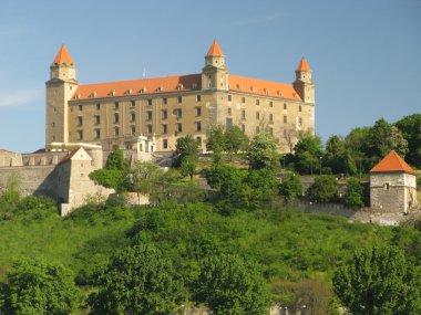 Castle in Bratislava clipart