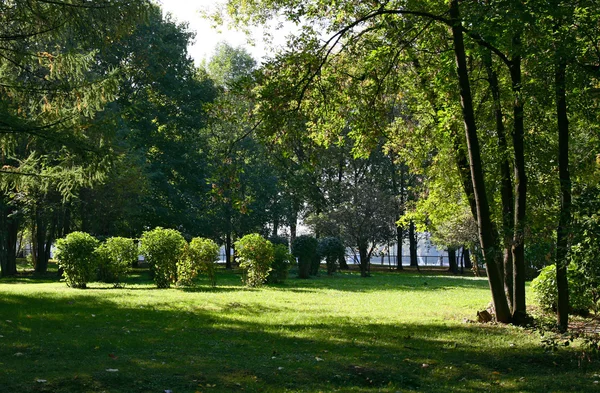 Park. Summer. — Stock Photo, Image