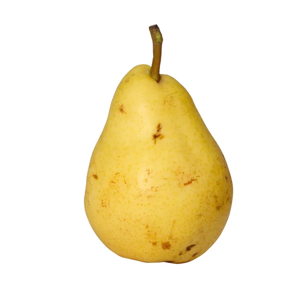 stock image Pear