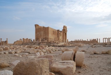 Syria, Palmyra. clipart