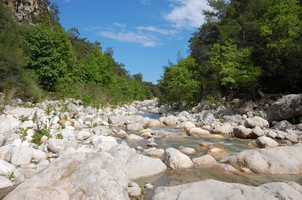 Stock image Mountain river in Turkey