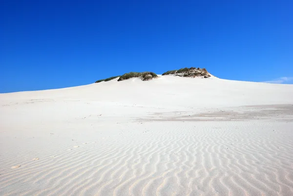 stock image Sand dunes on the desert