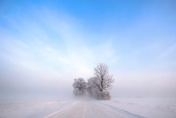 冬季景观 图库照片