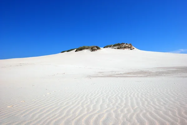 Піщані дюни на пустелі Стокове Зображення