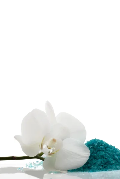 Sal de banho e flor de orquídea Imagens Royalty-Free