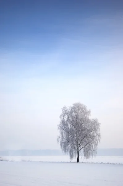 Winterscape에서 외로운 나무 로열티 프리 스톡 이미지