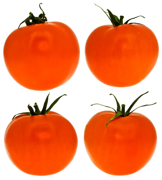Чотири помідори — стокове фото