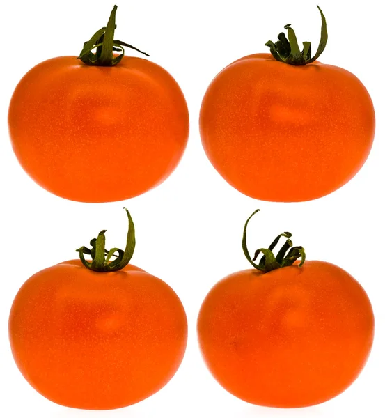 Fyra tomater Stockfoto