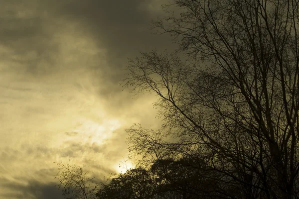 stock image Moody Sky