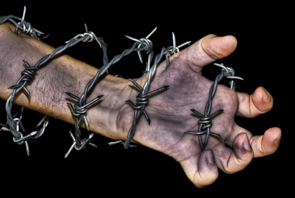 stock image Hand grabbing a barbed wire