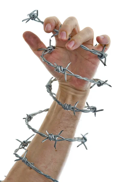 stock image Hand holding a barbed wire