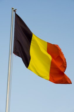 Kutup Belçika bayrağı