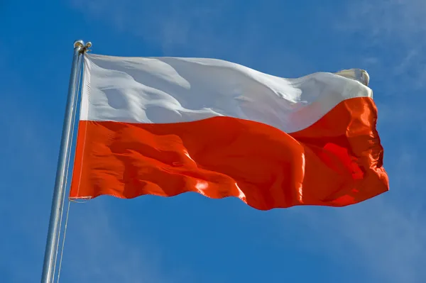 Bandera polaca — Foto de Stock