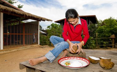 Thai girl removing coconut meat from shell clipart