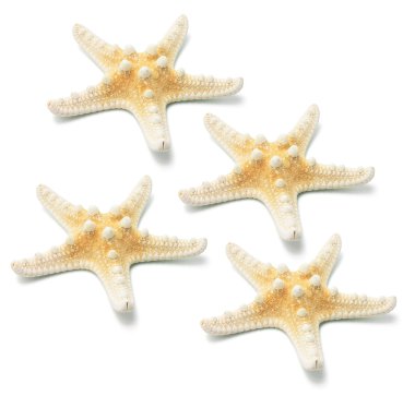 Star balık