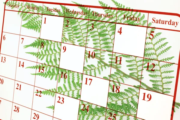 Strony kalendarza i paproci — Zdjęcie stockowe