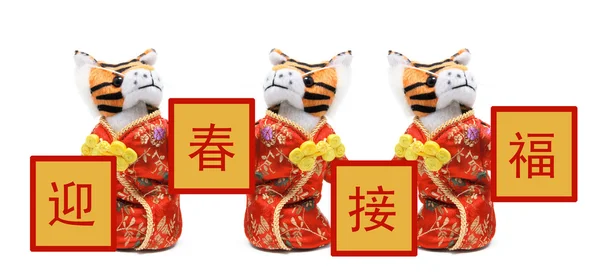 Tigres de brinquedo em traje chinês — Fotografia de Stock