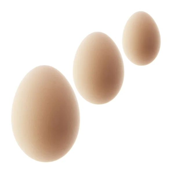 Huevos Imagen De Stock