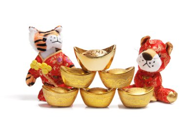 tiger yıl