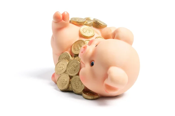 Piggybank с монетами — стоковое фото