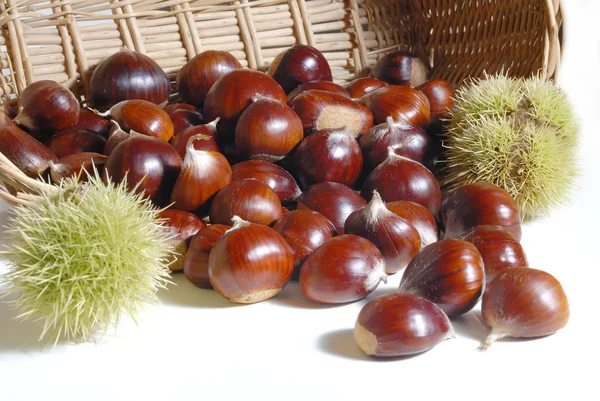 Chestnuts 23 — Stock Photo, Image