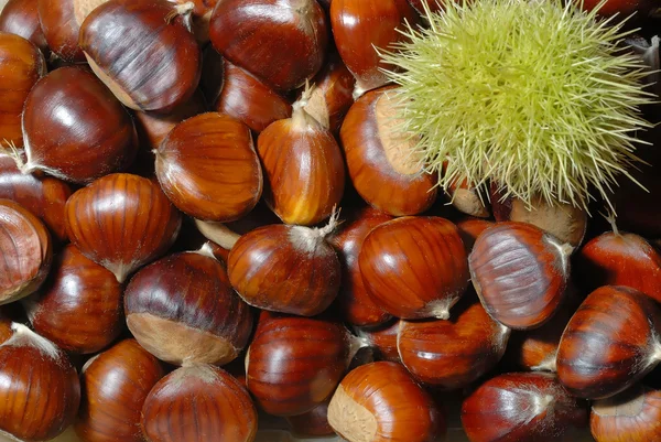 Chestnuts 28 — Stock Photo, Image