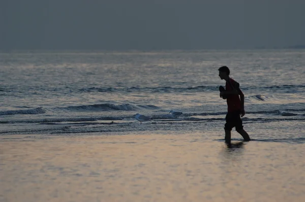 Solitario en la playa 03 —  Fotos de Stock