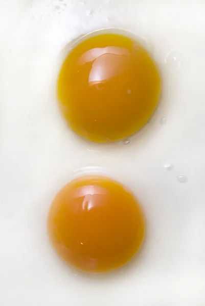 stock image Fried eggs 01