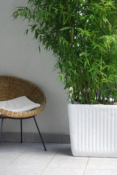 stock image Rattan 01