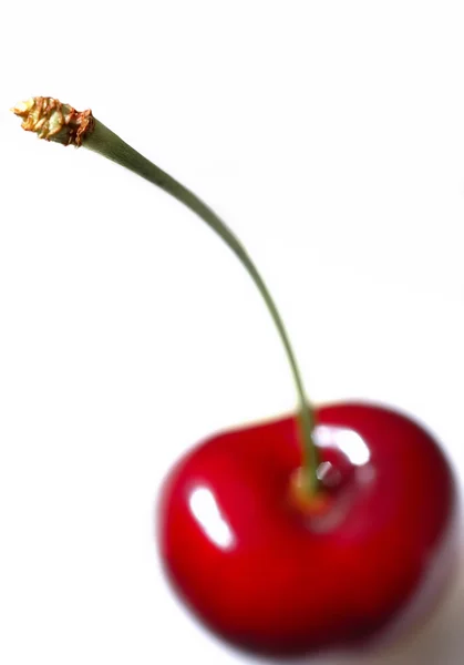 stock image Red cherry 03