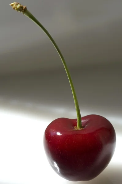 stock image Red cherry 02