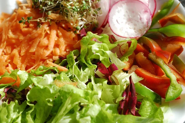 stock image Salad plate 01