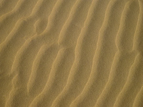 stock image Sand dunes 02