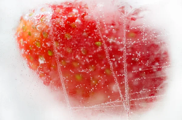 Strawberry 01 — Stockfoto