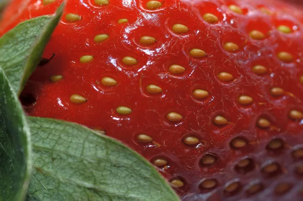 stock image Strawberry 4