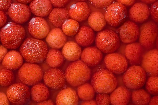 stock image Strawberry cake 01