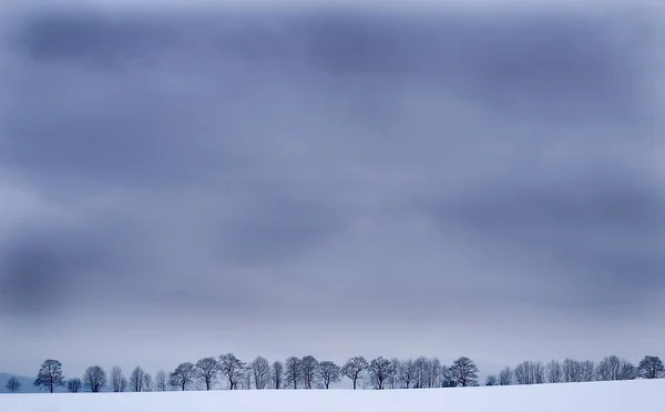 Vintern 11 — Stockfoto