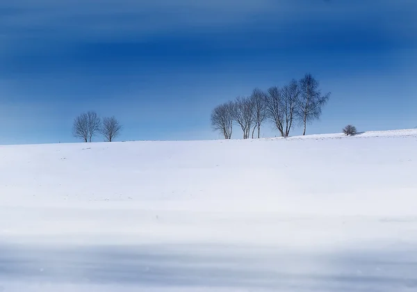 Inverno 8 — Fotografia de Stock