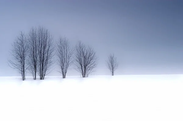 겨울 3 — 스톡 사진